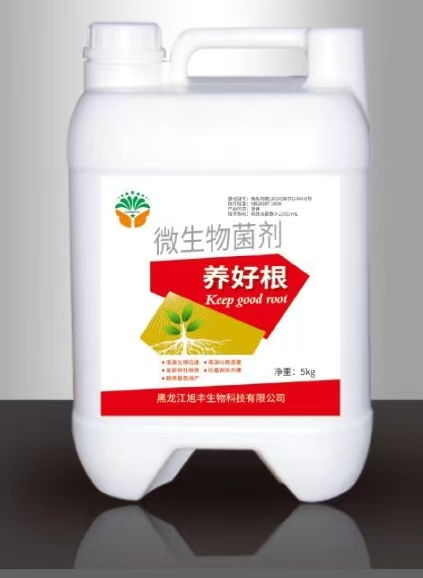 养好根